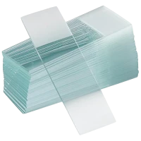 GLASS SLIDES x 1000