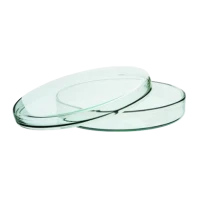 PETRI DISHES x 10